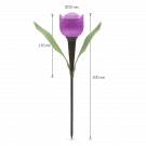 LED-es szolár tulipánlámpa szett